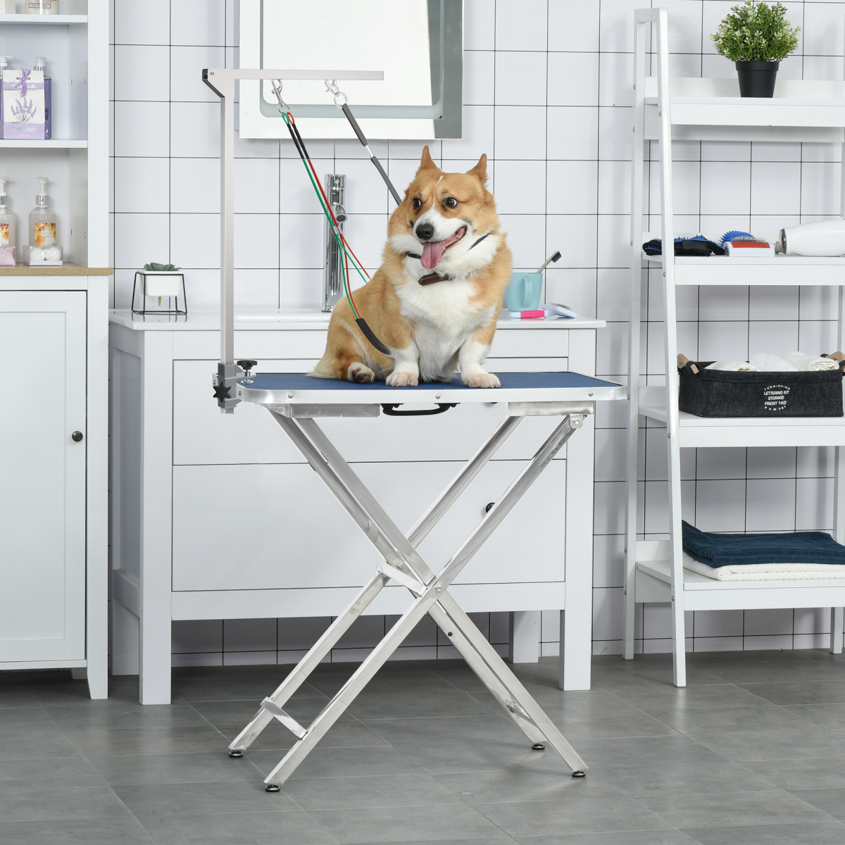 Adjustable Pet Grooming Arm Foldable Grooming Holder w/ Clamp, for Medium Dogs