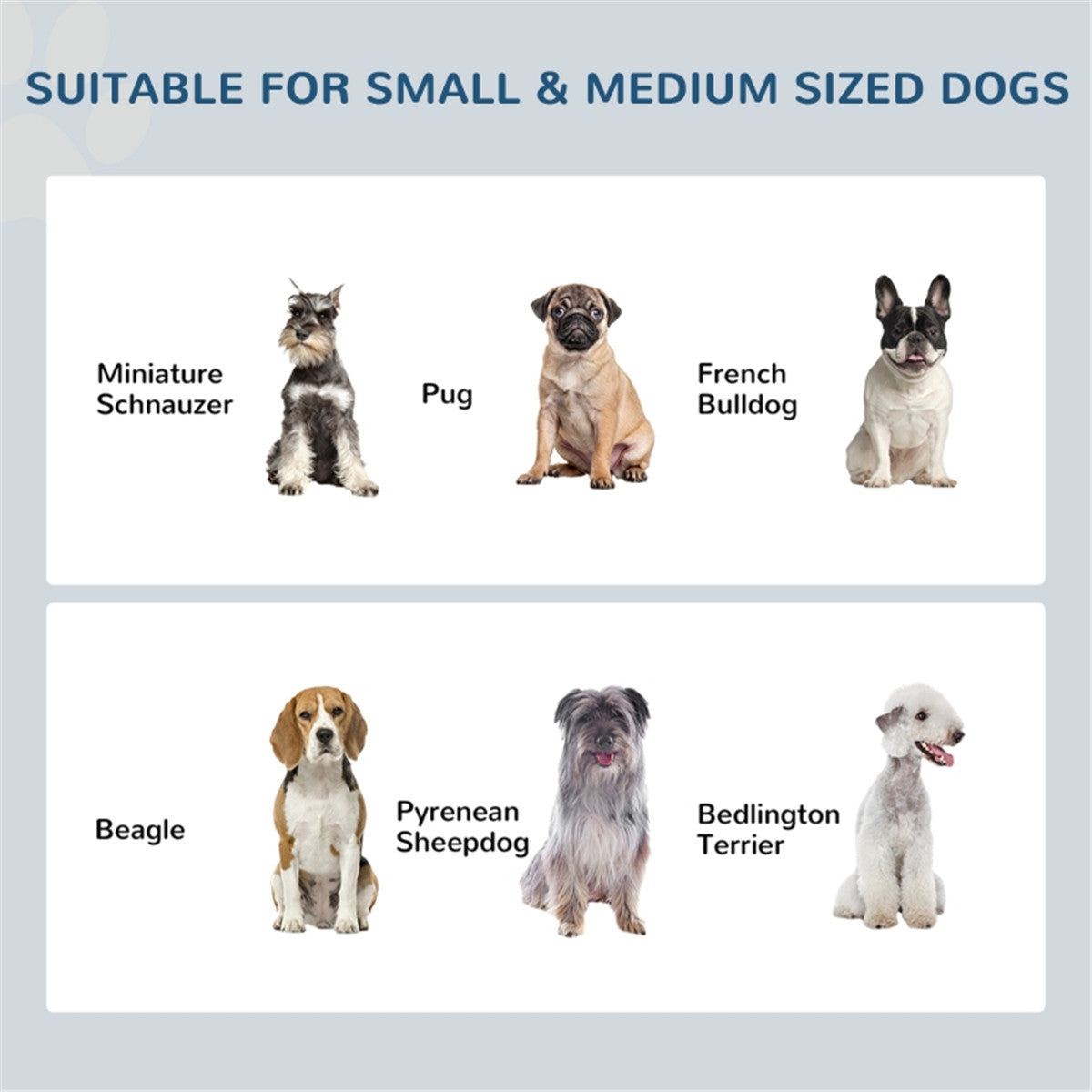 Elevated Stainless Steel Pet Feeder with Non-Slip Design - PawHut