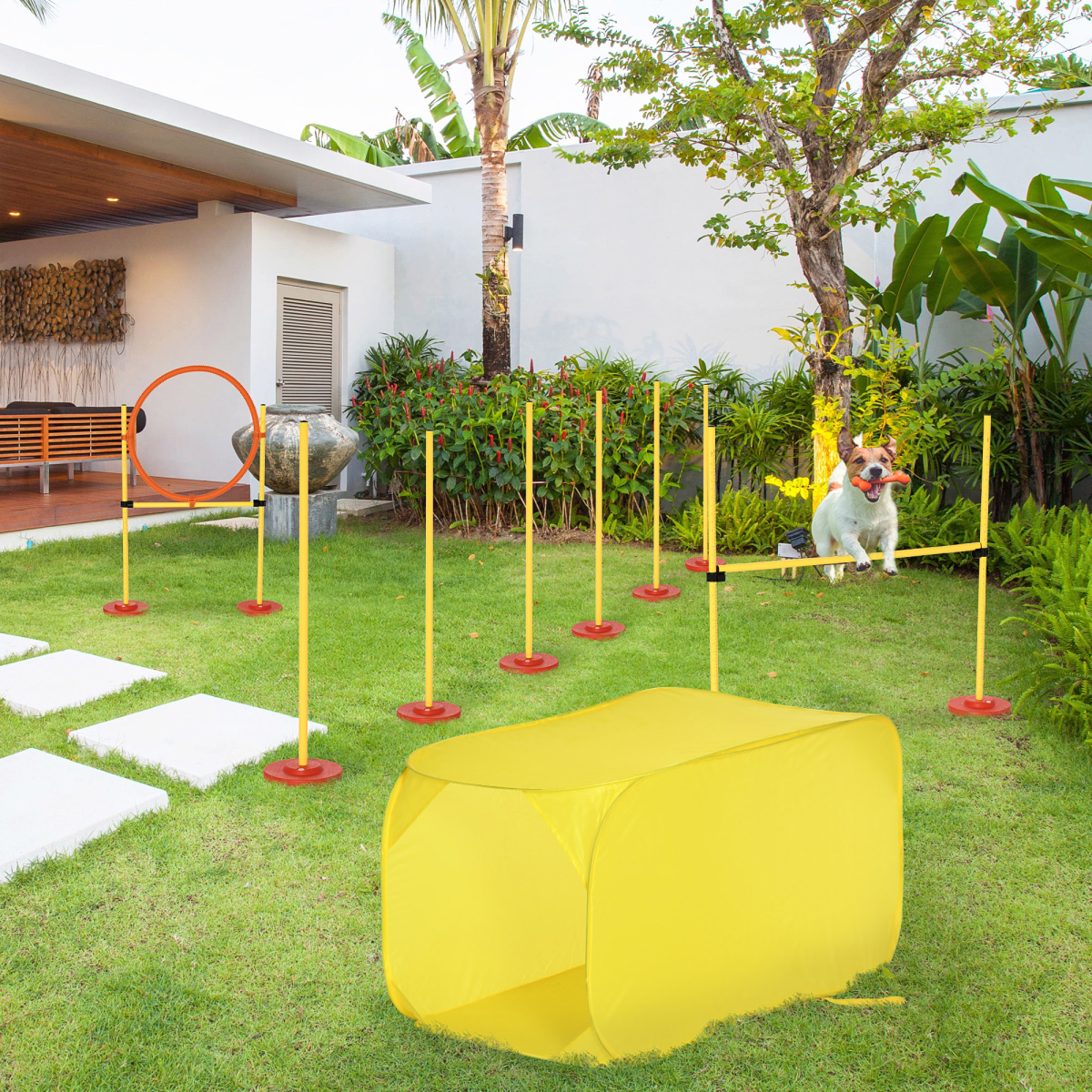 Ultimate Dog Agility Training Set - 4-Piece Backyard Fun Course for Pets