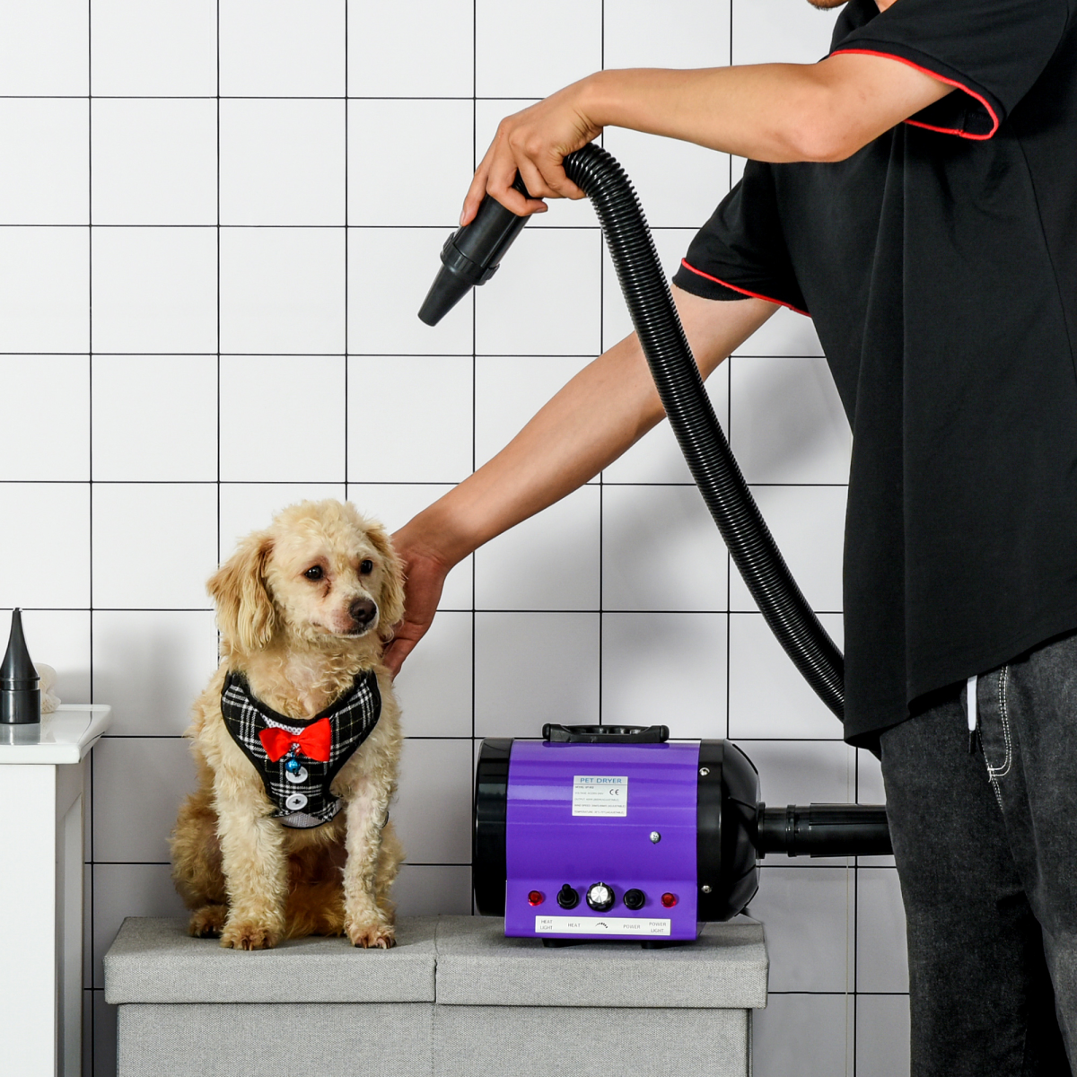 2800W PawHut Pet Hair Dryer - Fast, Adjustable Grooming Blaster with 3 Nozzles