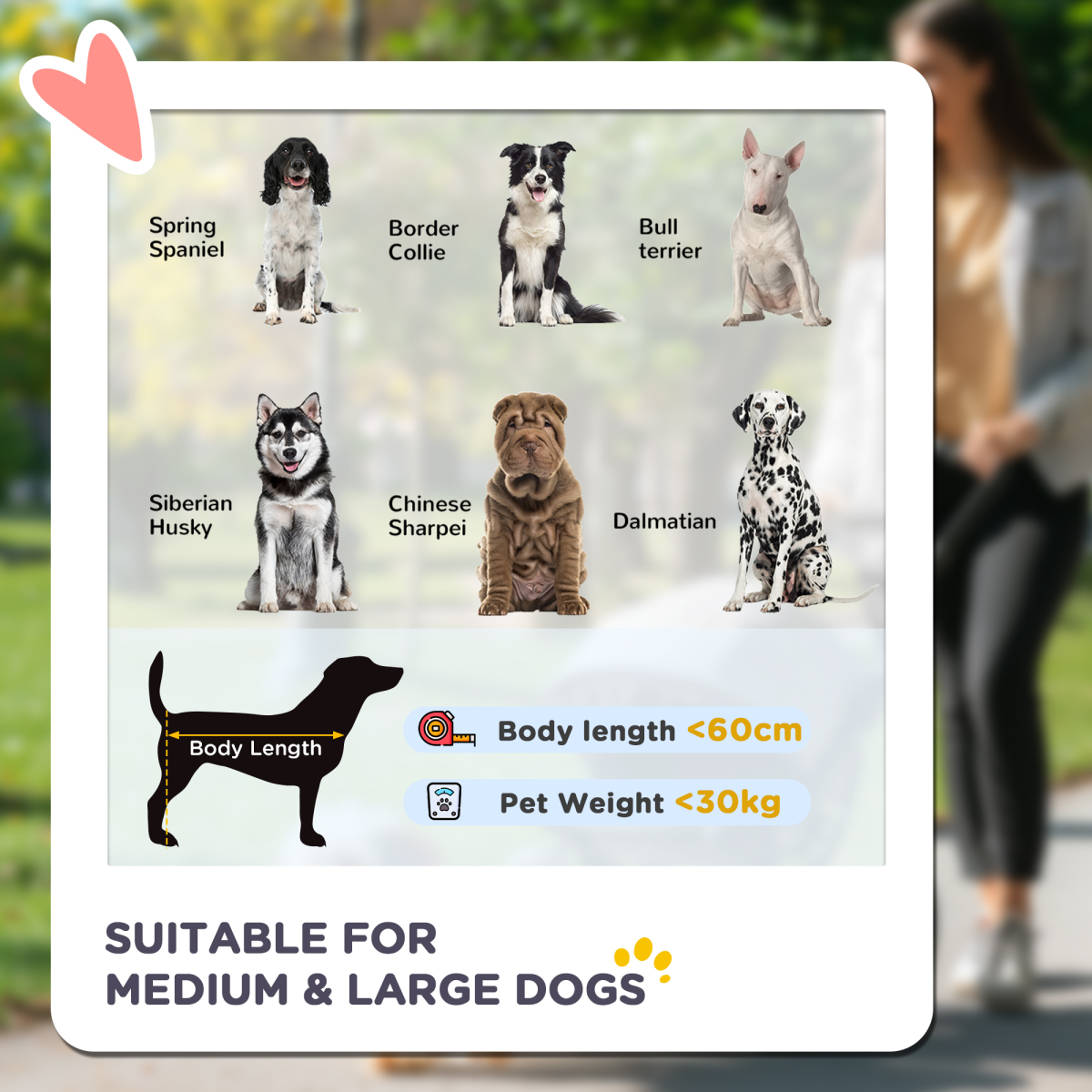 SmoothRide PawHut Dog Stroller: Foldable Carriage with Shock Absorbers & Wheels