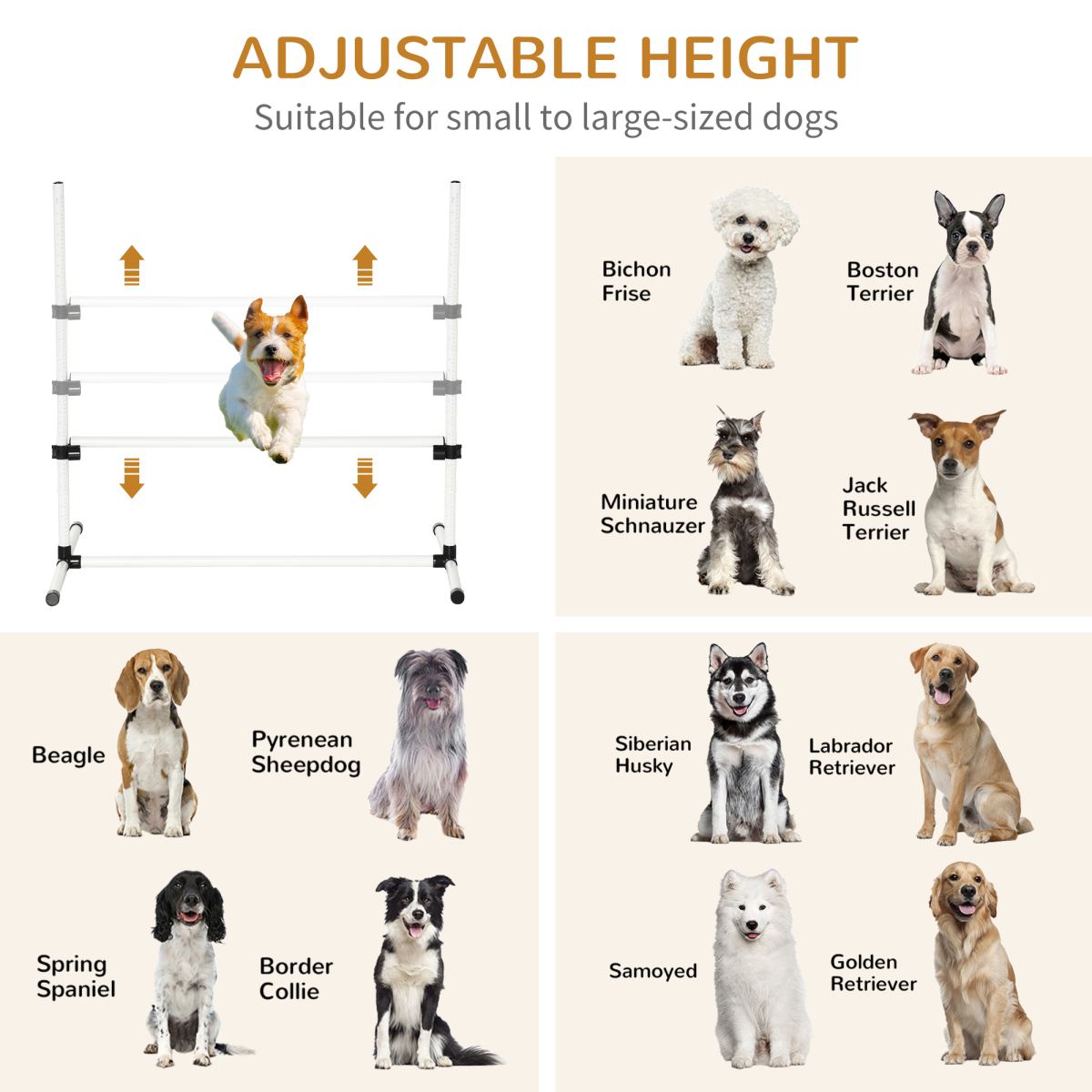 Ultimate Canine Agility Course: Fun Jumping & Training Set for Active Dogs
