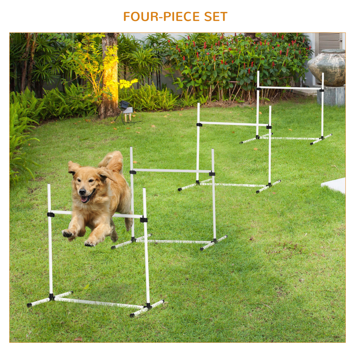 Ultimate Canine Agility Course: Fun Jumping & Training Set for Active Dogs