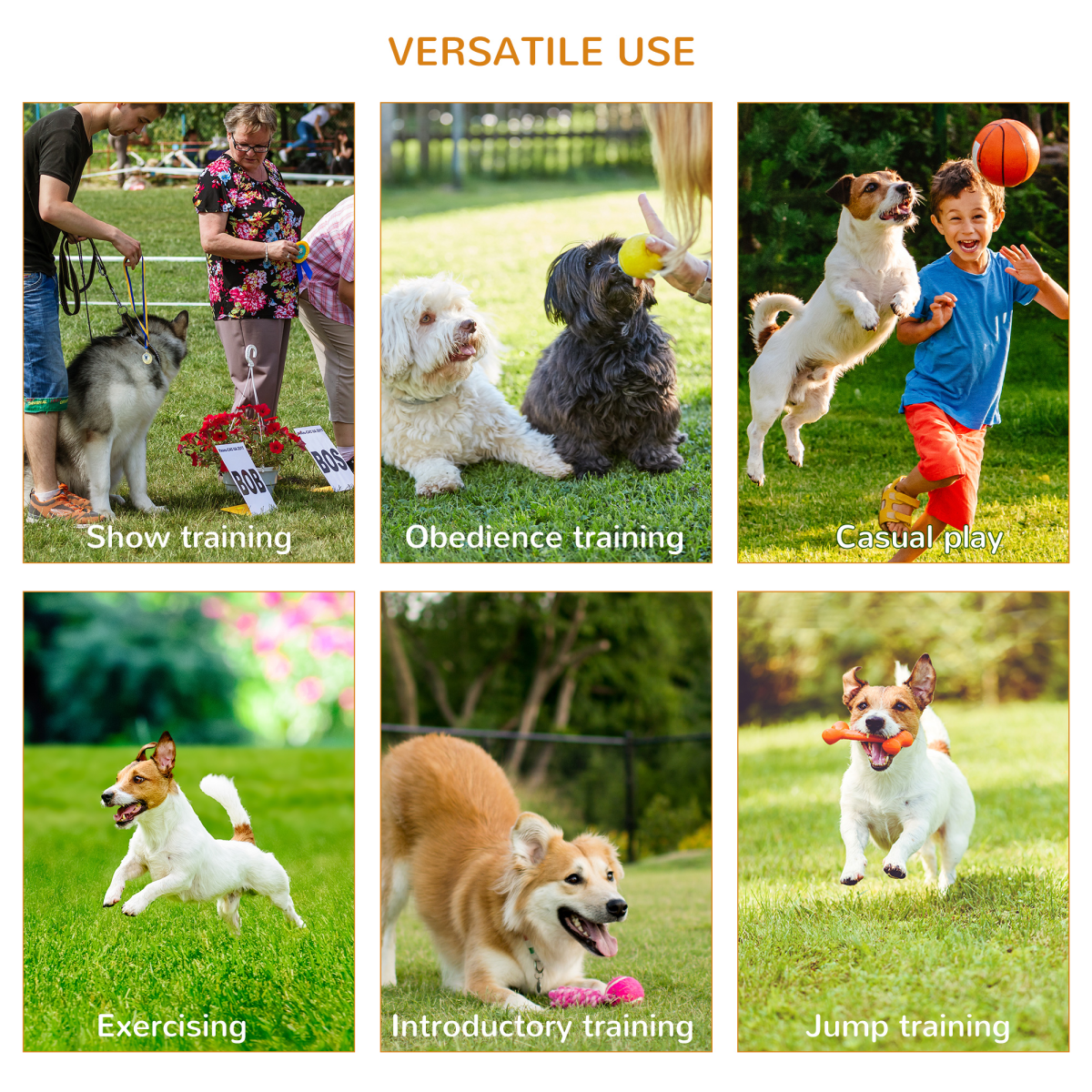 Ultimate Dog Agility Training Set - 4-Piece Backyard Fun Course for Pets