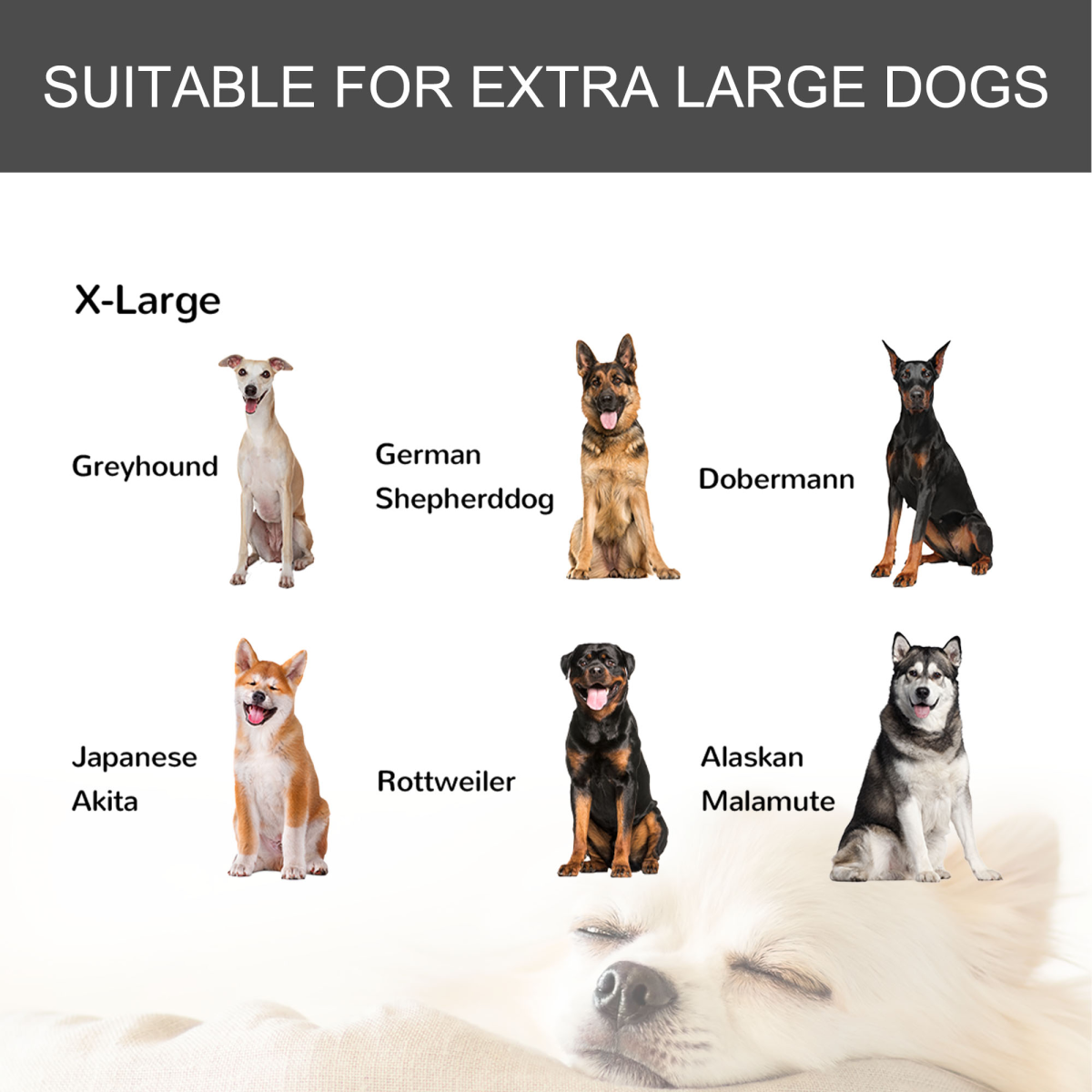 Extra Large Metal Dog Cage with Locking Door & Wheels – Ultimate Pet Safety!