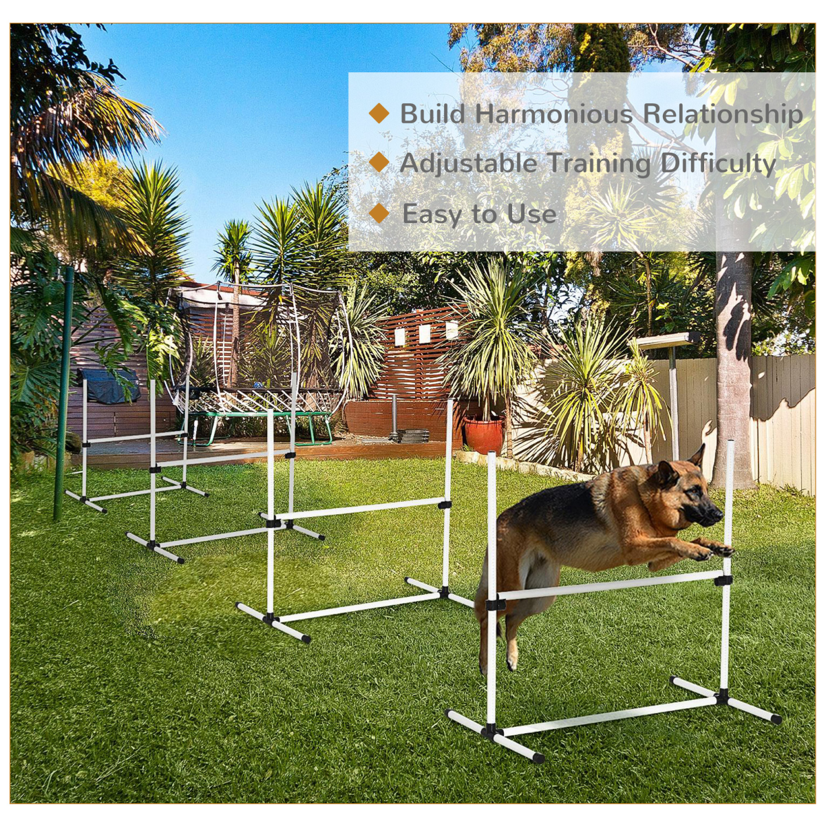 Ultimate Canine Agility Course: Fun Jumping & Training Set for Active Dogs