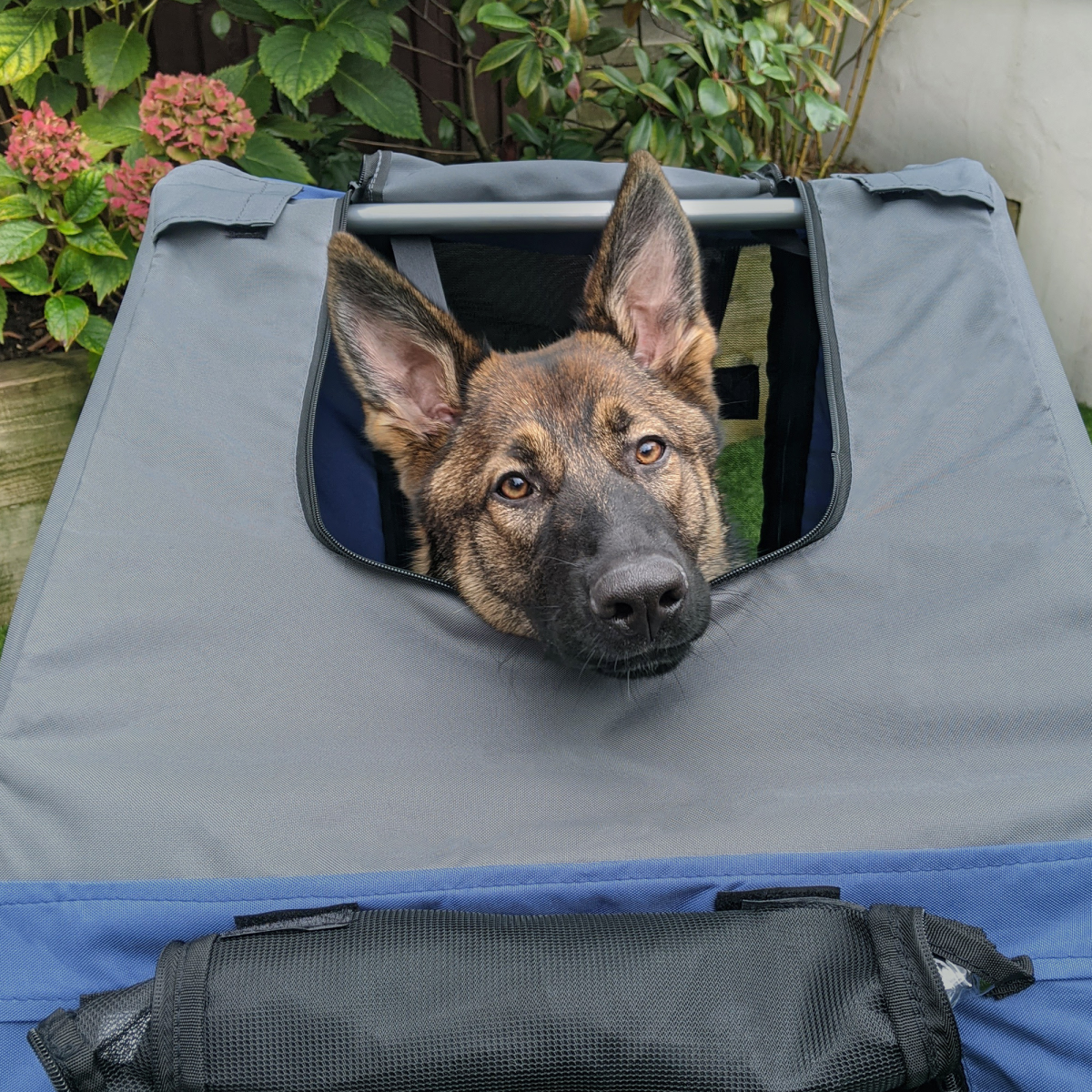 Adventure Buddy: Premium Pet Bicycle Trailer for Dogs & Cats – Water Resistant
