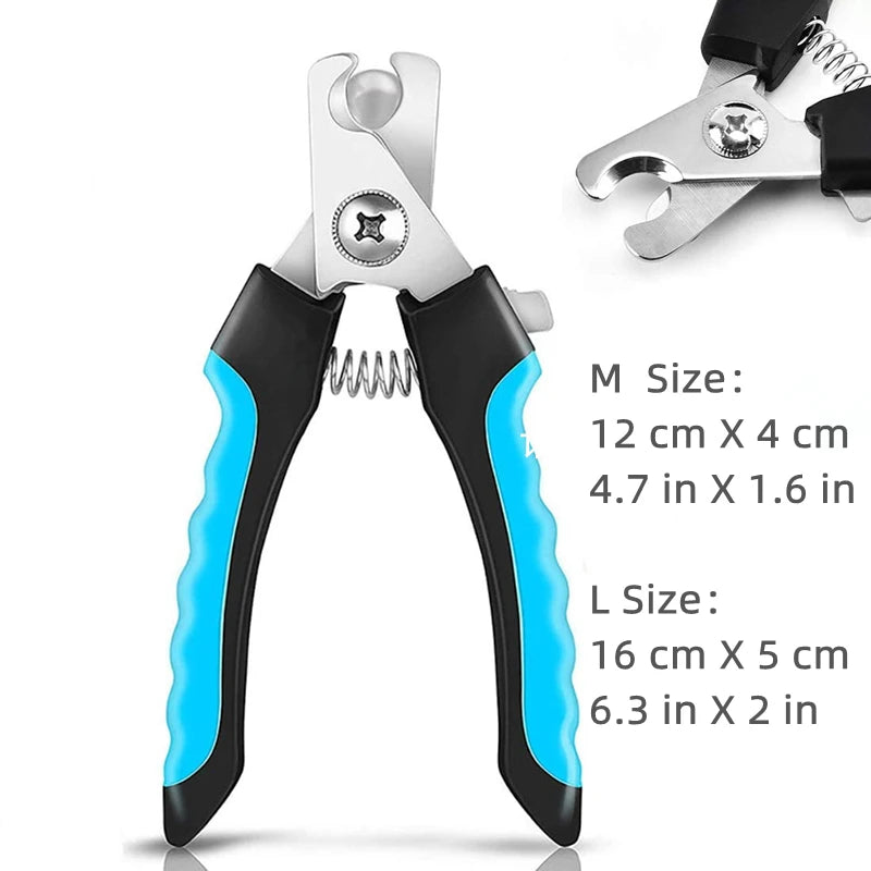 V12000029038580805_0.jpg