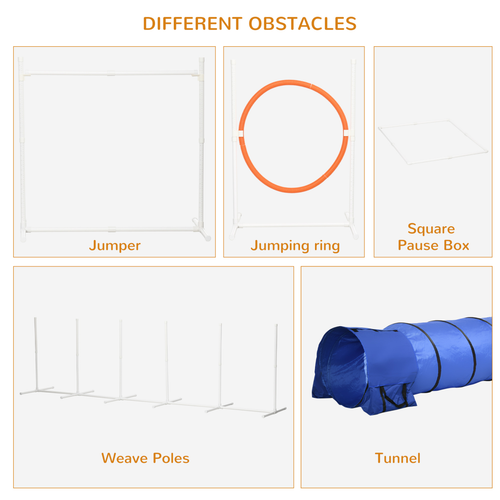 Ultimate 6-Piece Dog Agility Set with Carry Bag & Sandbag Essentials