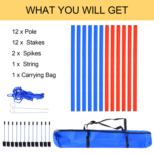 Ultimate Pet Agility Training Kit: Hoops, Poles & Tunnels for Fun Obedience!
