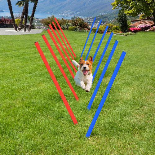 Ultimate Pet Agility Training Kit: Hoops, Poles & Tunnels for Fun Obedience!