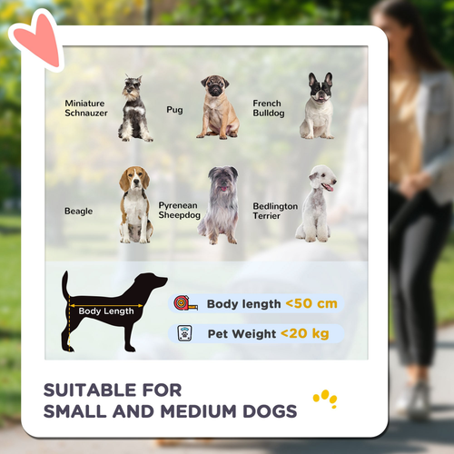 PawHut Grey Foldable Pet Stroller - Ultimate Comfort & Convenience for Small Pets!