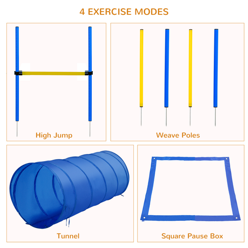 Ultimate Pet Agility Training Set: Enhance Your Dog's Skills & Bonding Moments!