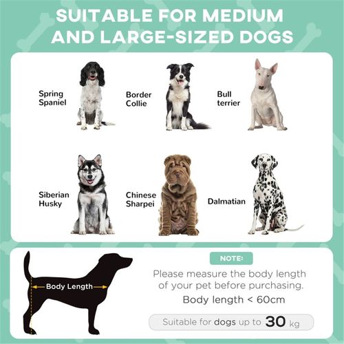 Elevated Pet Bed with Canopy - Comfort, Shade, and Travel-Friendly Design
