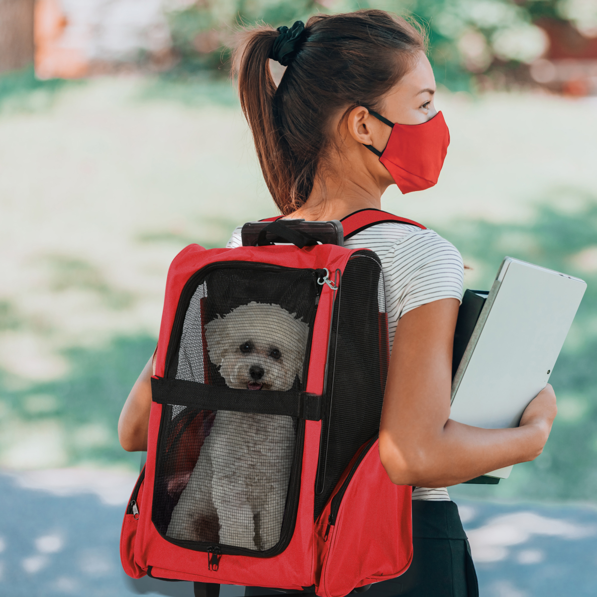 Versatile Pet Travel Backpack: Trolley-Style Carrier for Cats & Dogs