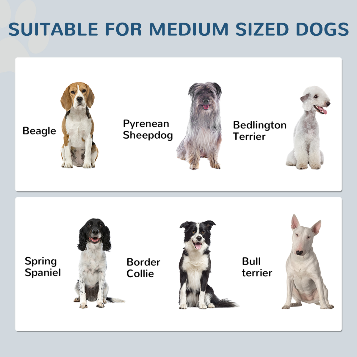 PawHut Stylish Dog Feeding Station with Storage & Adjustable Bowls