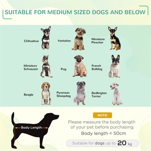 PawHut Elevated Pet Bed - Durable, Portable Comfort for Medium Dogs