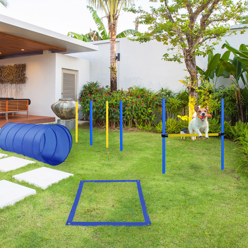 Ultimate Pet Agility Training Set: Enhance Your Dog's Skills & Bonding Moments!