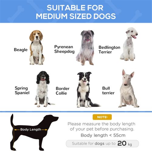 CozyCool Raised Pet Bed with Breathable Mesh and Adjustable Headrest