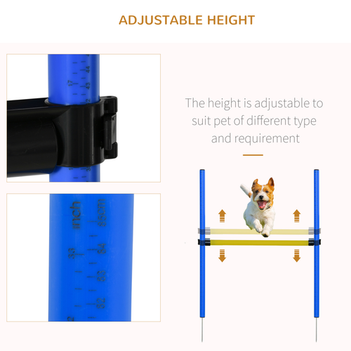 Ultimate Pet Agility Training Set: Enhance Your Dog's Skills & Bonding Moments!